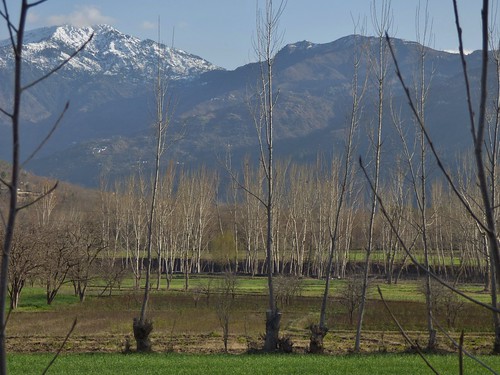 Early Spring in the Swat Valley, Khyber Pakhtunkhwa Province, Pakistan – March 2014