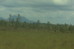 Guyana-0961