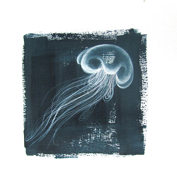 medusa :: méduse