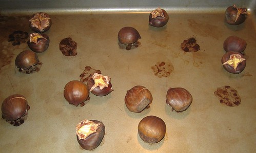 chestnuts 004