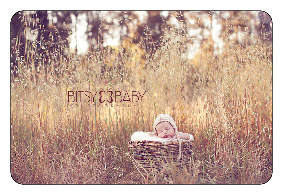 baby photography workshop