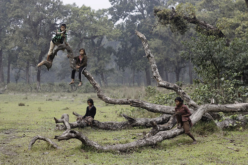 無料写真素材|人物|子供女の子|人物樹木|人物四人|ネパール人