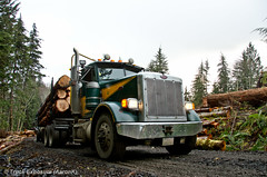 Log Truck Ride 12-2011