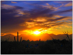 Tucson Arizona 2012