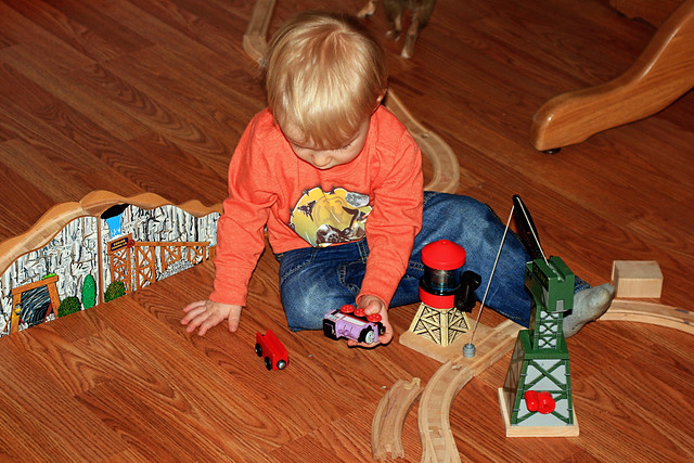 Playing With Trains