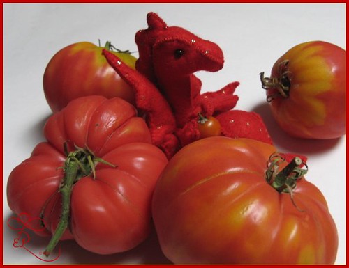 Week 2 - The tomato dragon
