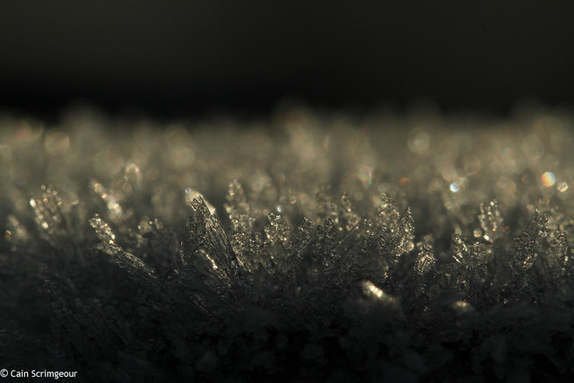 Fence Post Frost