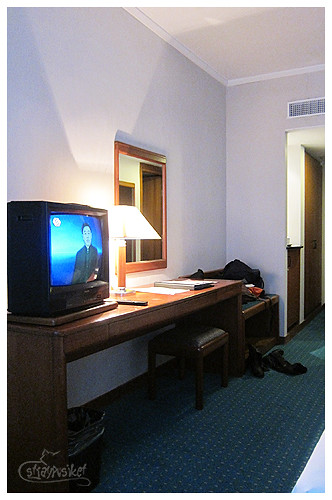 metropark hotel room