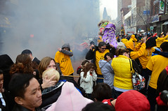 Year of the Dragon : Chinese New Year Celebrations
