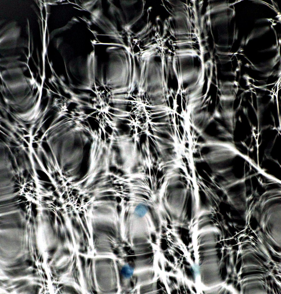 Abstract: Shattered Water