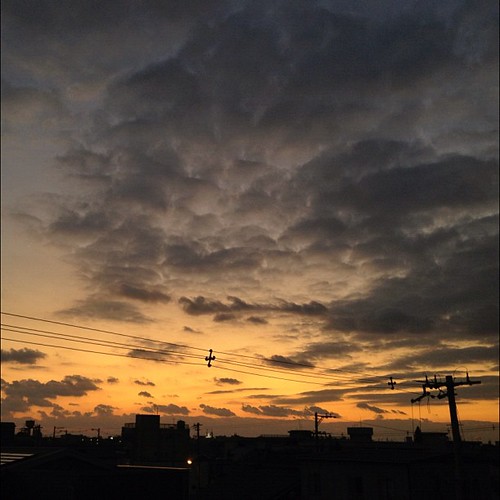今日の写真 No.461 – 昨日Instagramへ投稿した写真（1枚）／iPhone4S、Snapseed