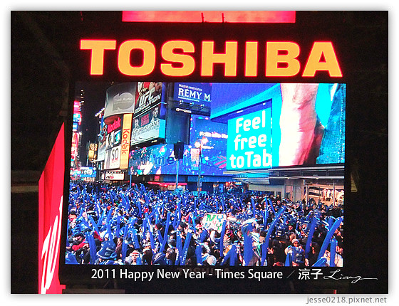 2011 Happy New Year - Times Square 3