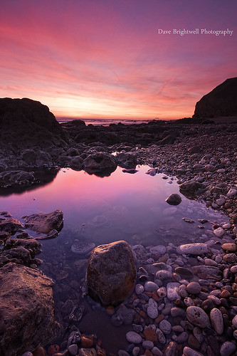 Pool of Pink by Dave Brightwell