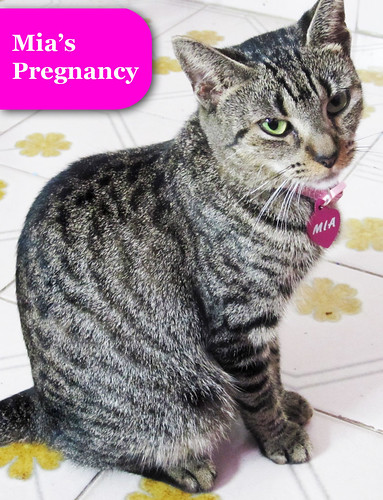 Friday The 13th - :3 and Mia's Pregnancy