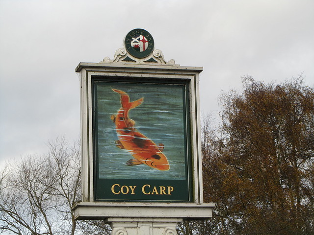 UK Hertfordshire Coy Carp pub sign at Harefield November 2011