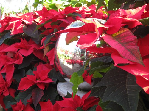 mirror ball and poinsettas