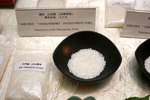 Samples of polished rice for making sake