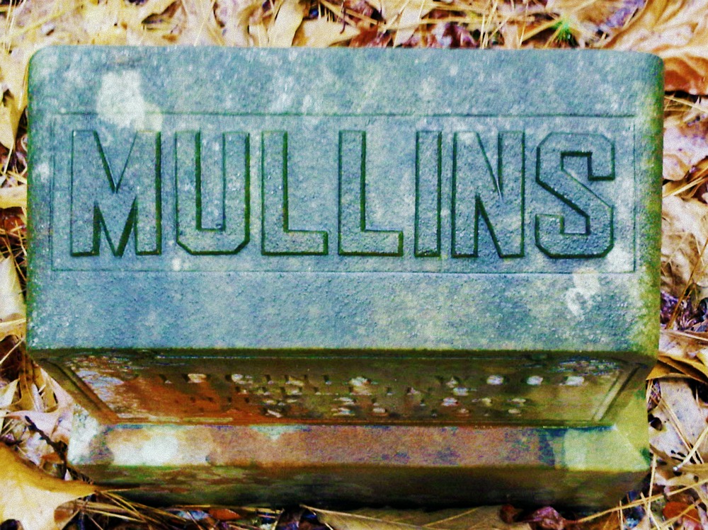 Virginia Wood-Mullins Cemetery, Meriwether County, Ga