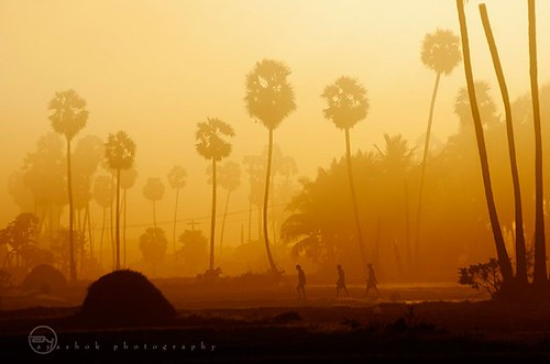 3 musketeers by ayashok photography