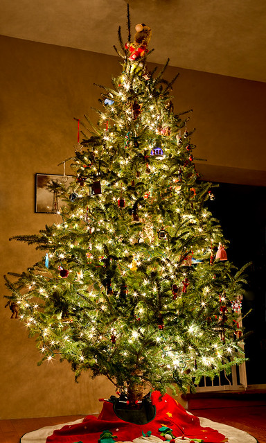 350/365 - December 16, 2011 -  O Christmas Tree
