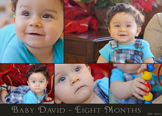 Baby David at Eight Months