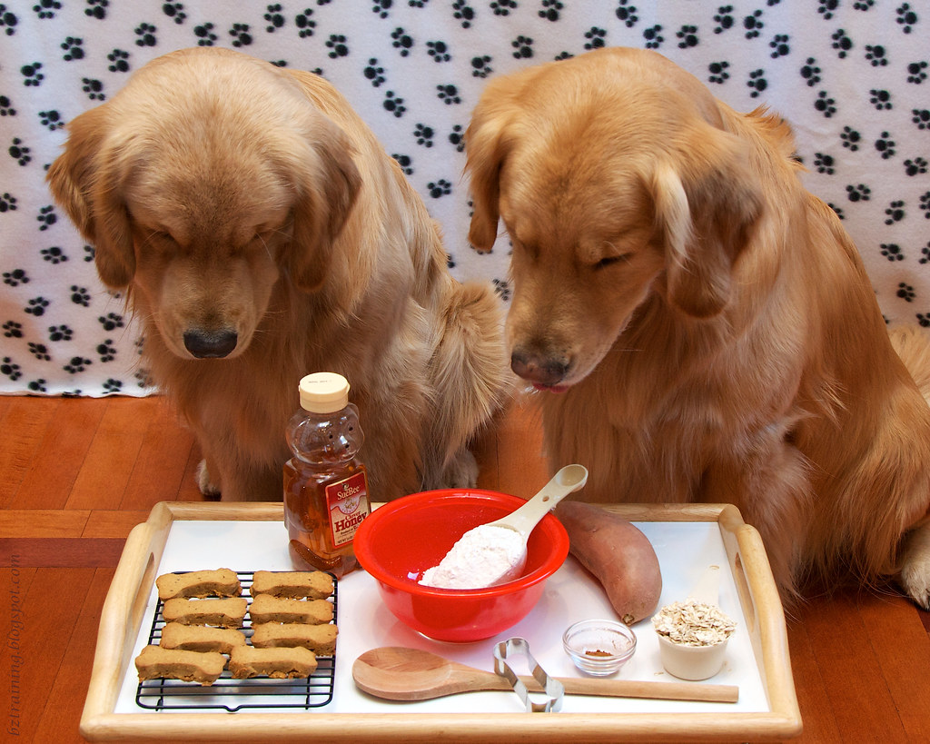 Cooking with Canines