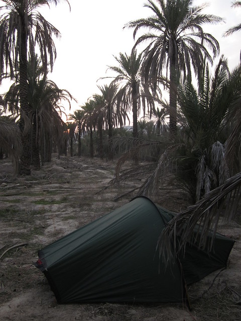 camping in the palms