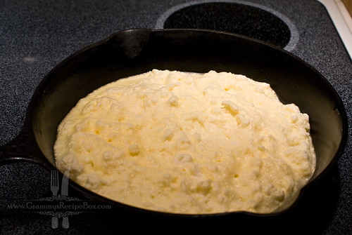 Puffy Omelet