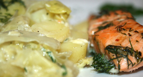 41 - Spitzkohlauflauf mit Lachs / Pointed cabbage casserole with salmon - CloseUp