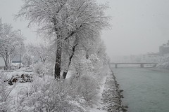 Winter / hiver