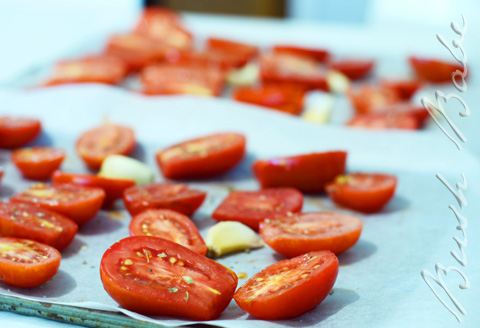 tomatoes_0729