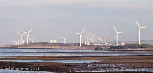 1000/647: 20 Nov 2011: Wind farm, Workington by nmonckton