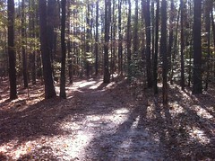  Boggy Creek Trail 