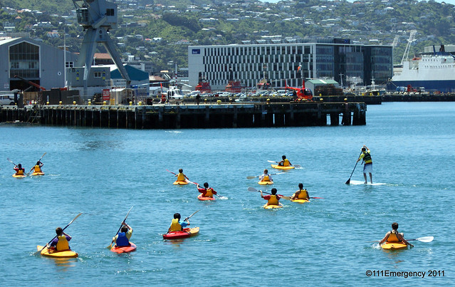 Canoes on Wellington Harbour