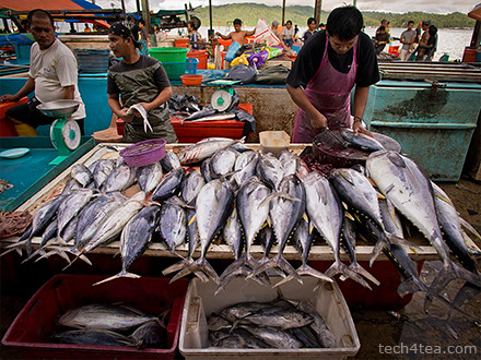 Freshly sliced fish. Taken with Olympus PEN E-P3 with 12mm lens right in front of the crowded stall.