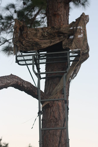 The Tree Stand