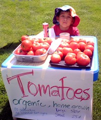 kid selling tomatoes (by: Liralen Li, creative commons license)