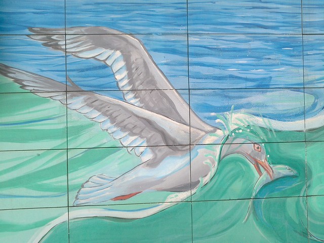 Seagull catching fish - Iron Cove Bay Walk Street Art