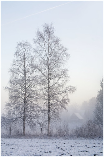 20120101. First day of the New Year. The fog. 1374. by Tiina Gill