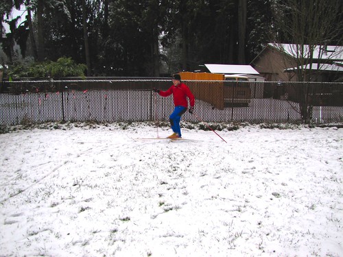 Joshy cross country skiing in the backyard