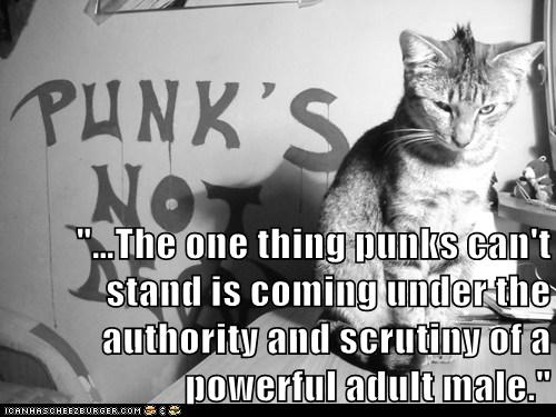 black and white punk cat, quote reads The one thing punks can't stand is coming under the authority and scrutiny of a powerful adult male.
