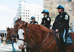 Police takes down 0ccupy DC camps at McPherson Square on 12/04/2011