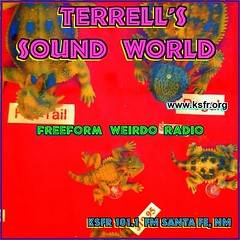 Terrell's Sound World Facebook Banner