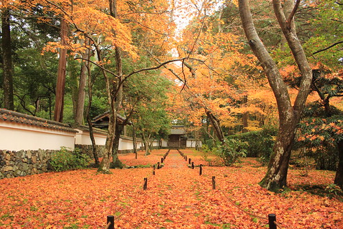 京都 西芳寺（苔寺）: Kyoto Saihou-ji temple