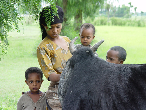 Ethiopian livestock-keeping family