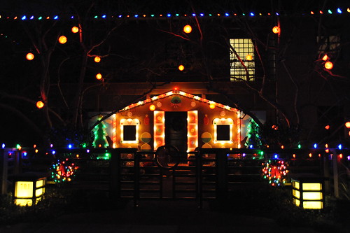Palo Alto Christmas Tree Lane
