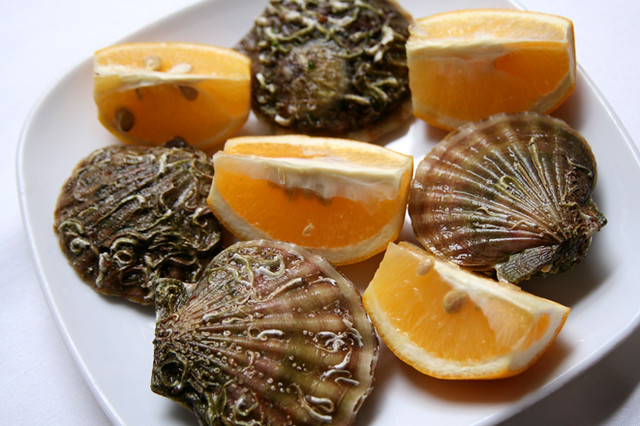 seashell with lemon