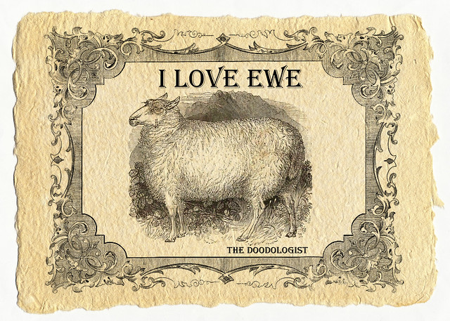 I love ewe (web)