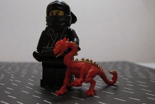 A ninja and his dragon - 2012 year of the dragon