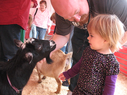 The petting zoo at the Fort Worth Stock Show